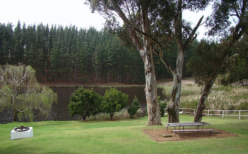 wine5.jpg - The area around the winery