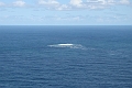 cape9