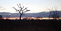 lhsundowners3