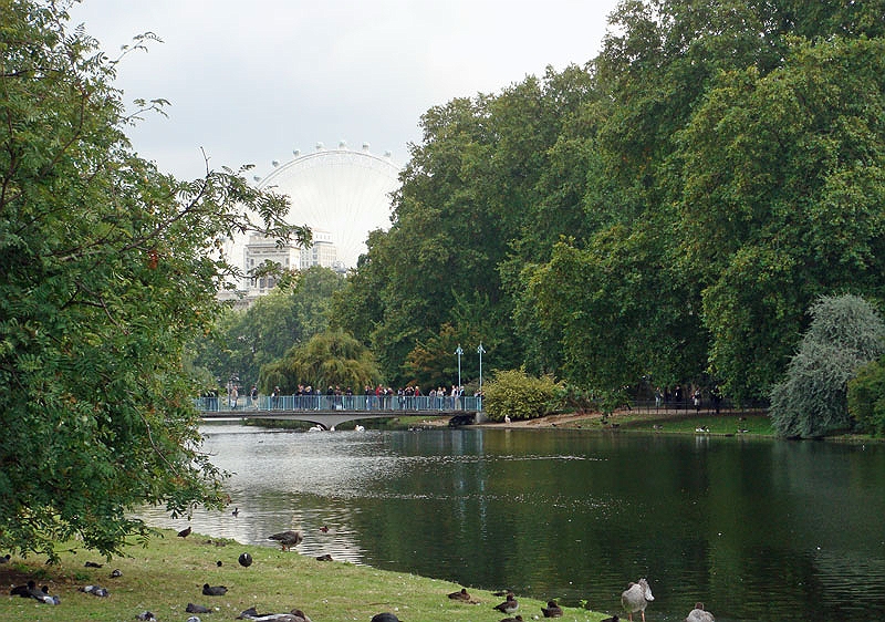 stjames.jpg - St. James Park